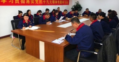 公司各級黨組織認(rèn)真學(xué)習(xí)貫徹黨的十九大會(huì)議精神